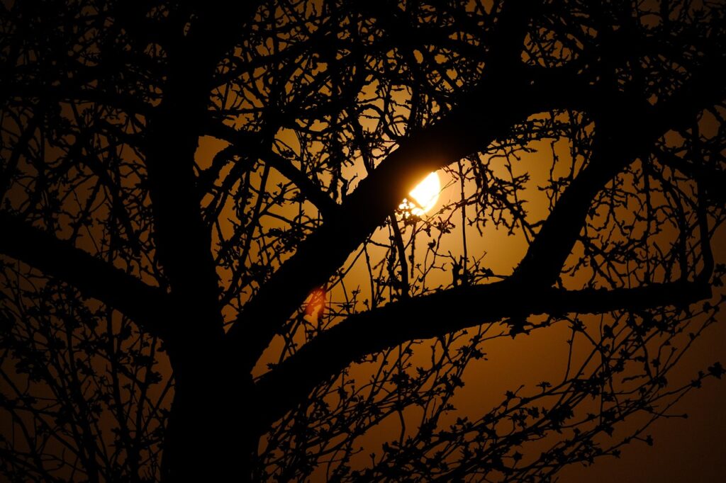 2025年最大のスーパームーンはいつ?スピリチュアルな意味があるらしいよ