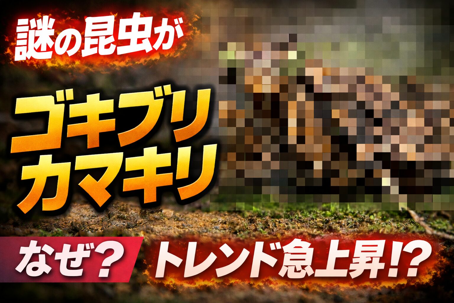 ゴキブリカマキリとは何？正体はキノカワカマキリ＿トレンドになった理由