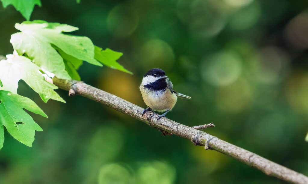 ポリアモリーとは？オープンマリッジとの違い｜“浮気”と何が違う？