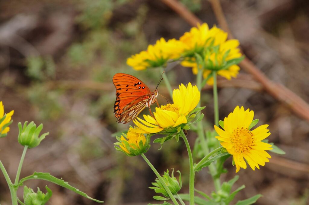 AI文章は見分けられる？見分け方は？バレると言われる理由も