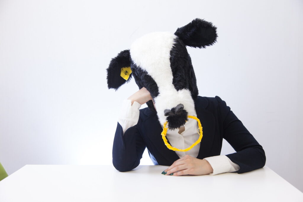 インスタ「フォローし始めました」ってどういう意味？違いと理由